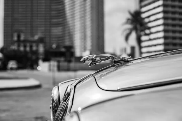 Kazoom Casino Android/iOS Forrit